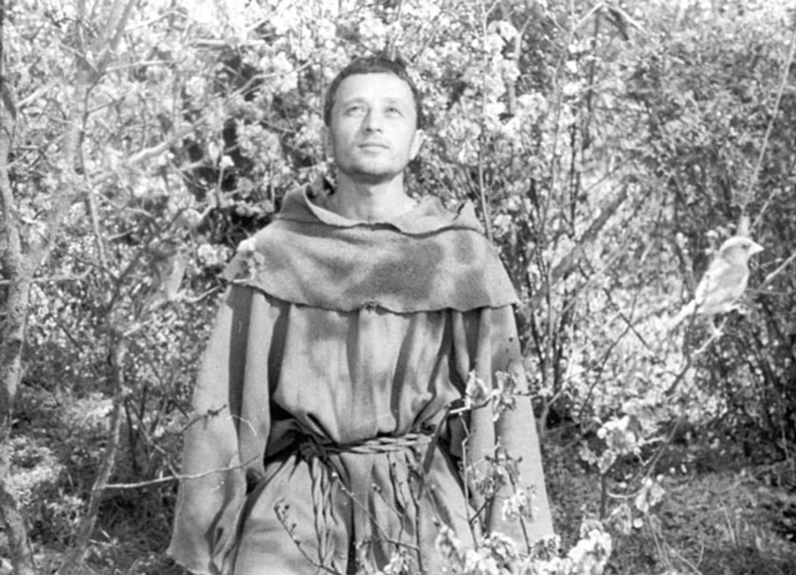 Francesco giullare di Dio